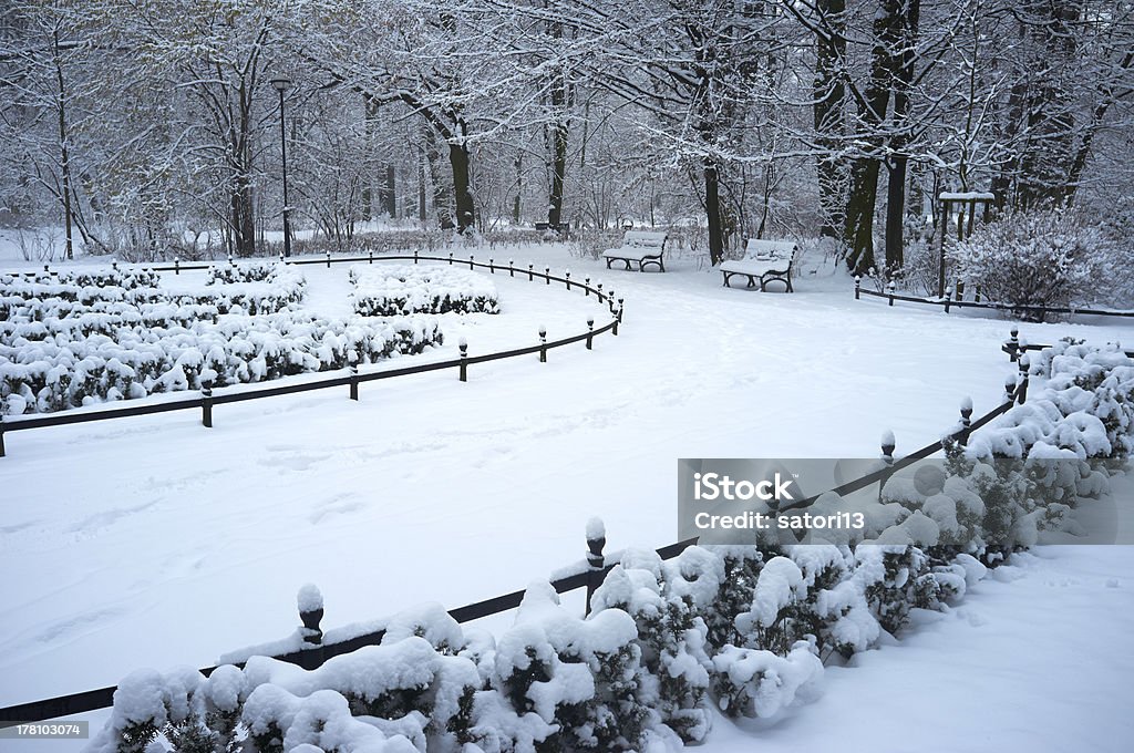 Winter park Winter park covered with fresh  snow Bench Stock Photo