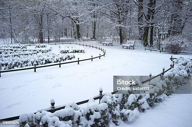 Winter Park Stock Photo - Download Image Now - Bench, Blizzard, Branch - Plant Part