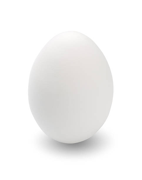 Egg isolated on white background stock photo
