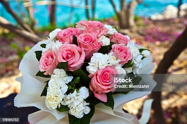 Branco E Rosa Túlipas - Fotografias de stock e mais imagens de Amor - Amor, Aniversário, Aniversário especial