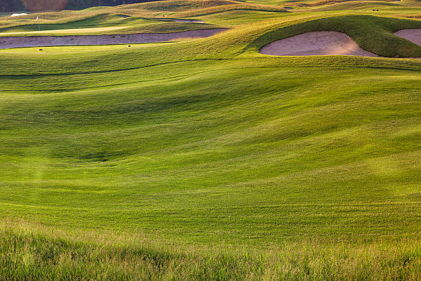 istock Perfect wavy ground with green grass on a golf field 178104815