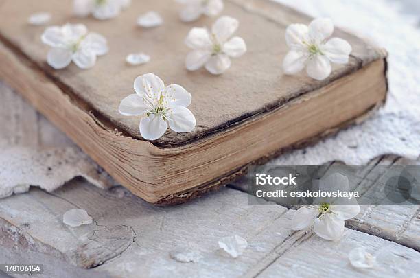 Cereja Flores Pôr No Velho Livro Em Renda Naperão - Fotografias de stock e mais imagens de Antigo - Antigo, Antiguidade, Ao Ar Livre