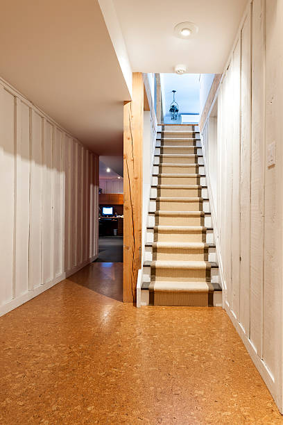 Basement and stairs in house Stairway to finished basement in home interior with wood paneling and cork flooring landing home interior stock pictures, royalty-free photos & images