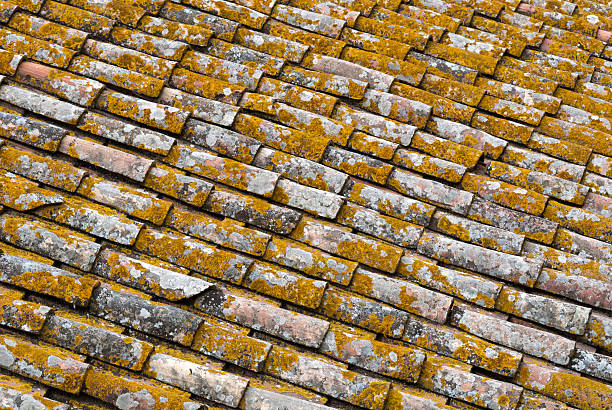家の屋根のトスカーナ - tegole ストックフォトと画像