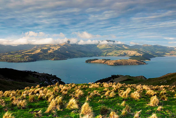 Over looking Lyttleton harbour, Christchurch, New Zealand