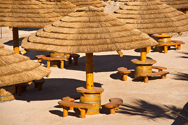 Palapa Huts A cluster of palapa huts with palm frond roofs, sandy beach and wooden benches thatched roof hut straw grass hut stock pictures, royalty-free photos & images
