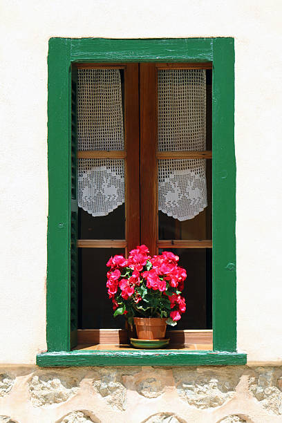 istock Window with flower pot on the sill 178109032