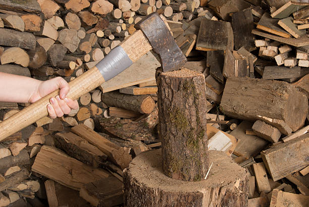 chop Holz mit Axt und sammeln – Foto