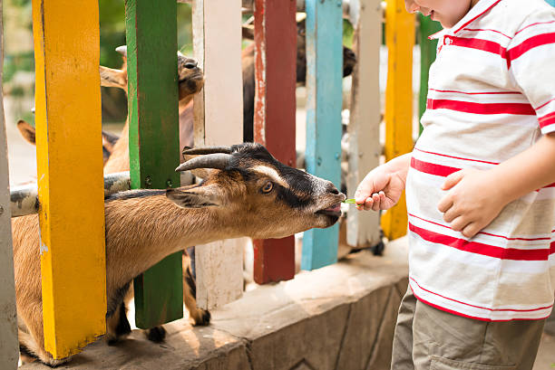istock I want feeding you! 178110424