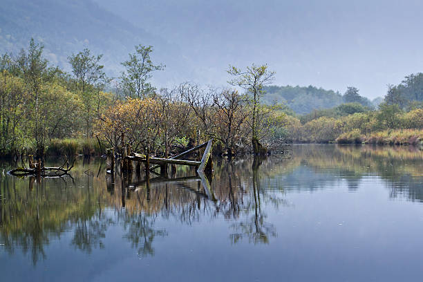 отражение осенний растительности на озеро, низкой горный хребет - symetrie стоковые фото и изображения
