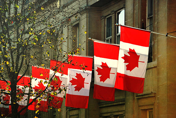 maison du canada - canada canadian culture leaf maple photos et images de collection