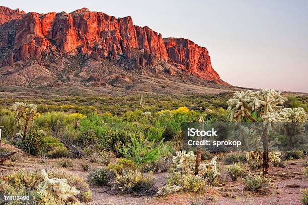 Deserto Mountians - Fotografias de stock e mais imagens de Arizona - Arizona, Montanhas Superstition, Ao Ar Livre