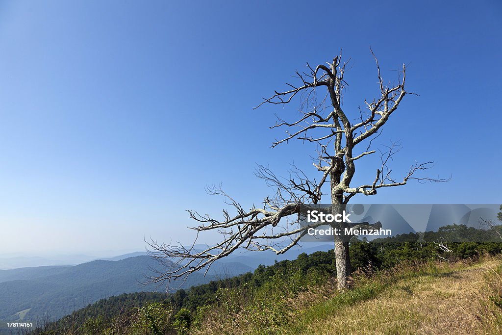 Bela vista das Montanhas Blue Ridge populares - Royalty-free Ao Ar Livre Foto de stock