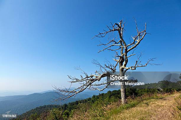 Bela Vista Das Montanhas Blue Ridge Populares - Fotografias de stock e mais imagens de Ao Ar Livre - Ao Ar Livre, Appalachia, Azul