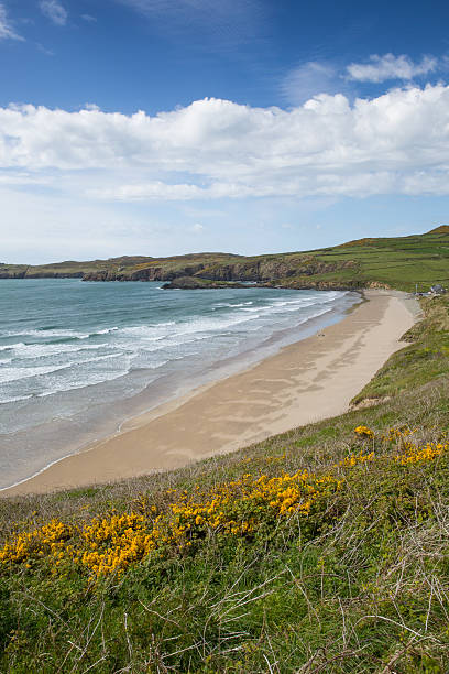 istock Whitesands Bay beach Pembrokeshire West Wales UK 178114209