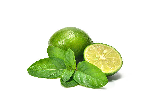 Limes and Green Mint stock photo