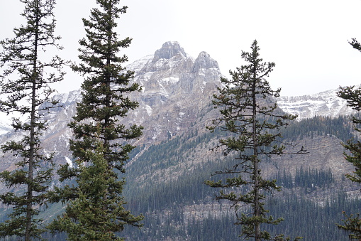 Mountain By Lake louis Banff National park