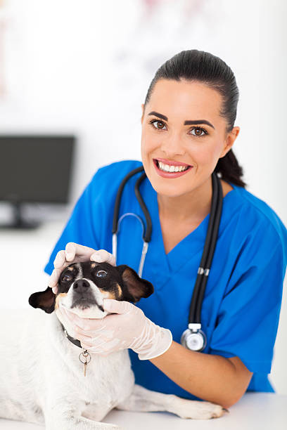 istock vet nurse checking pet dog eyes 178116090