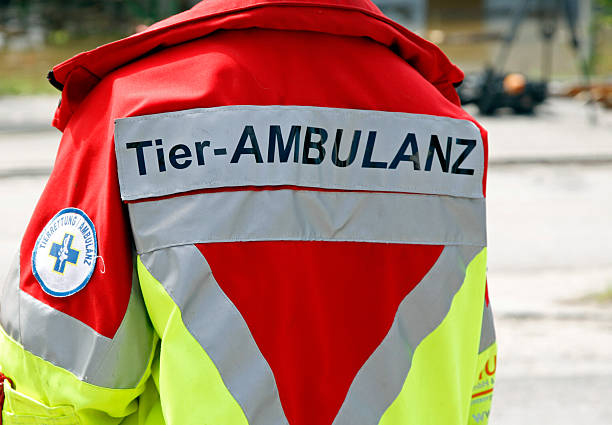 istock Animal Ambulance, Animal Ambulance 178116102