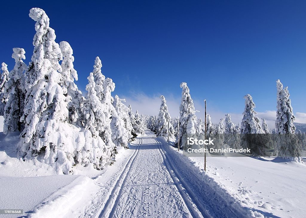 Paesaggio polare paesaggio con modificato modo di sci di fondo - Foto stock royalty-free di Albero