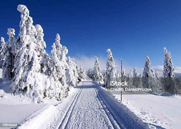 Paesaggio Polare Paesaggio Con Modificato Modo Di Sci Di Fondo - Fotografie stock e altre immagini di Albero