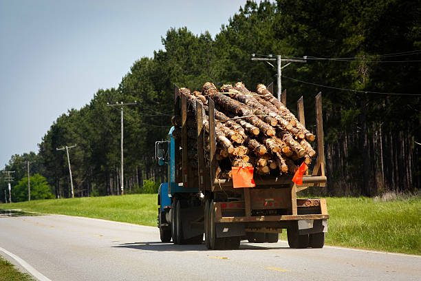 istock Log Truck on highway 178116942