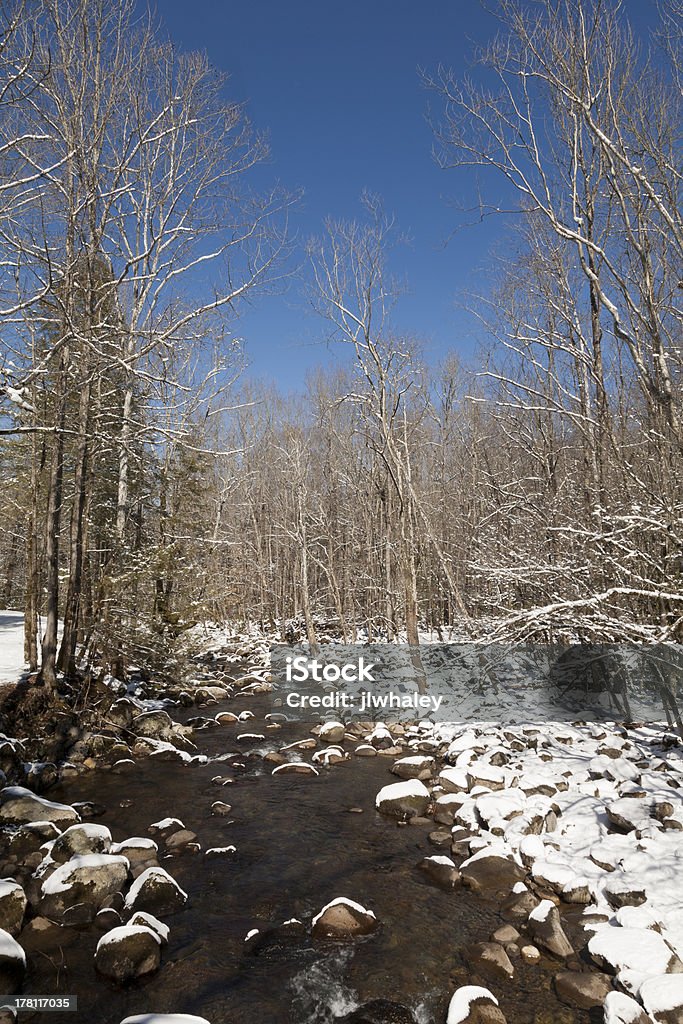 Greenbrier, de la rivière, la neige, les montagnes NP Great Smoky Mountains - Photo de Destination de voyage libre de droits