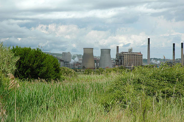 powerstation dans paysage - klimaschutz photos et images de collection