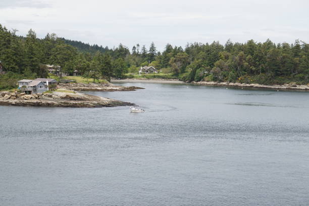 istock Houses in Island 1781189366
