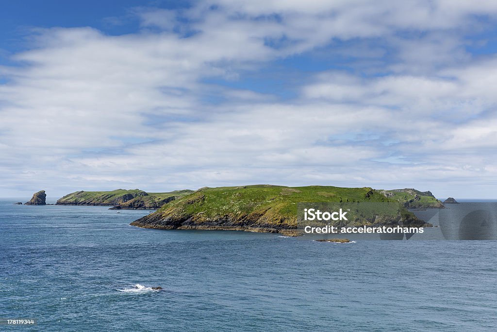 Île Skomer Pembroke Pays de Galles - Photo de Île Skomer libre de droits