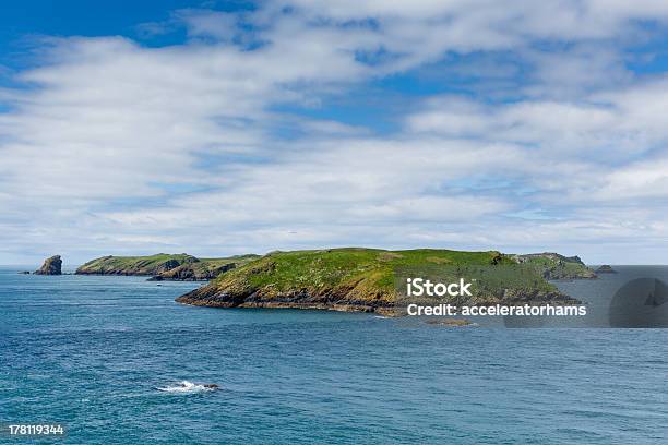 Photo libre de droit de Île Skomer Pembroke Pays De Galles banque d'images et plus d'images libres de droit de Île Skomer - Île Skomer, Angle de prise de vue, Animaux à l'état sauvage