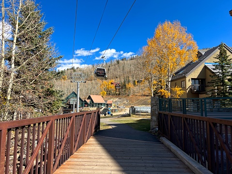 Beautiful Foliage - Mountain Village, Telluride, Colorado