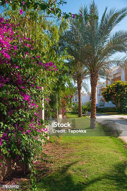 Casa Con Palme - Fotografie stock e altre immagini di Albergo - Albergo, Albergo di lusso, Albero