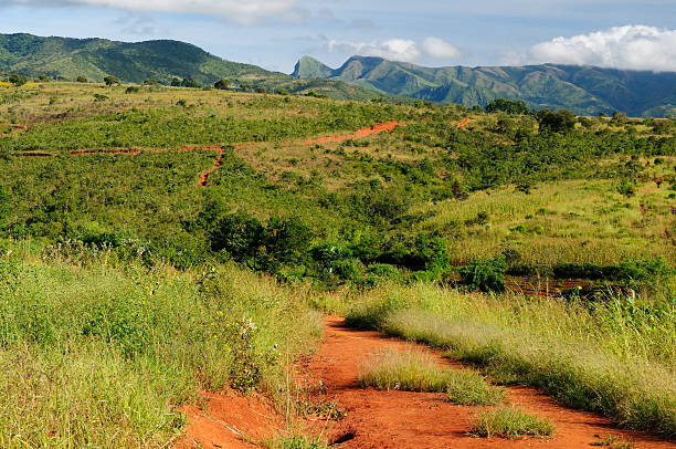 istock Grassy African plains landscape 178121423