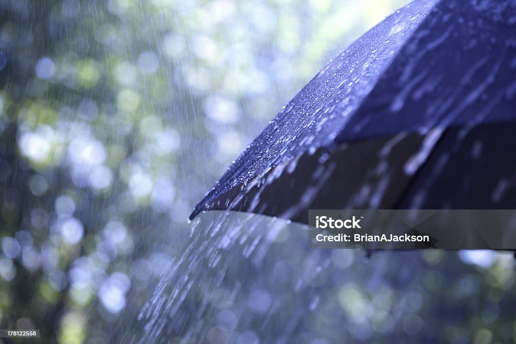 Rain on umbrella Rain drops falling from a black umbrella Rain Stock Photo
