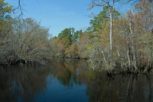 istock Early Spring at the Lumber River in Fair Bluff, NC 178123203