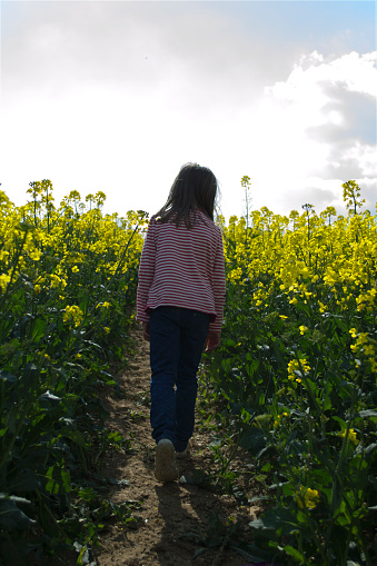A young child walks grumpily through a field of rapeseed against a setting sun. Kids and Childhood lightbox