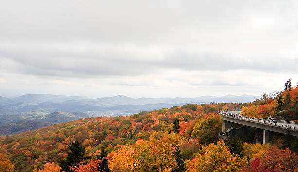 istock Linn Cove Viaduct in Autumn 178124483