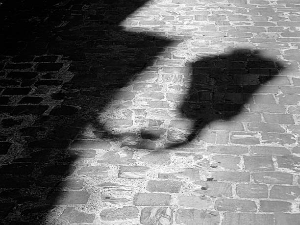 istock shadow of a lamppost on paved street 178125106
