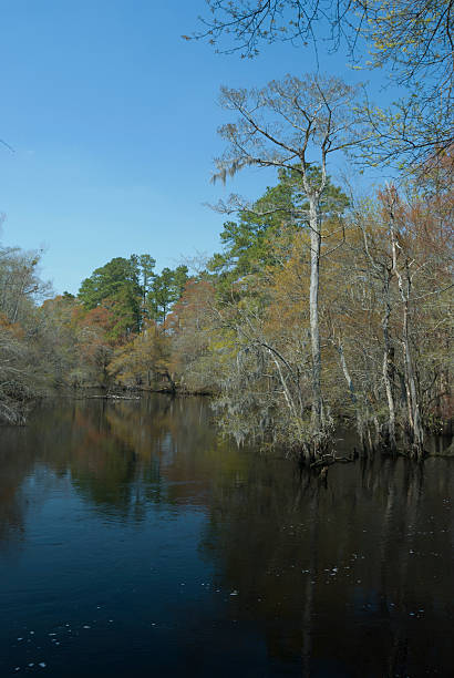 istock Early Spring at the Lumber River in Fair Bluff, NC 178126761