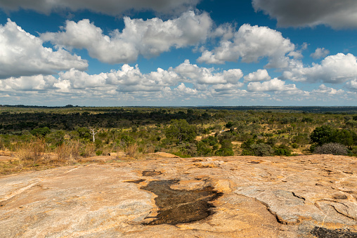 Bush veld view in Kruger National Park South Africa