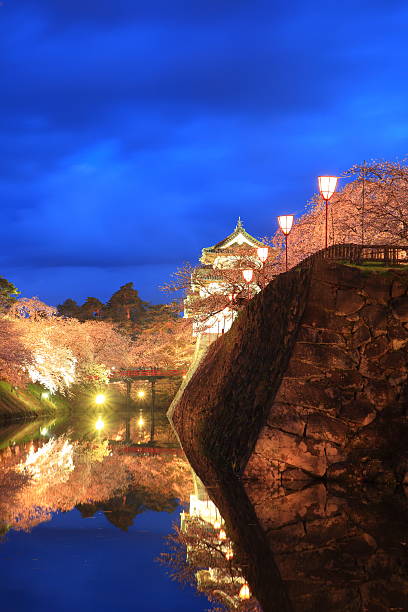 istock Light up of Hirosaki castle and cherry blossoms 178127726