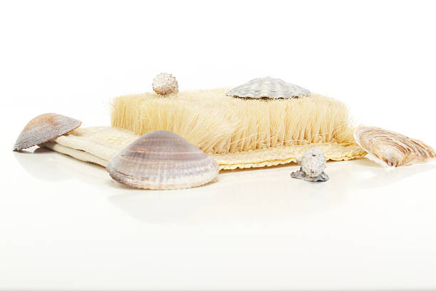 istock Beautiful wellness decoration with brush and seashells 178128524