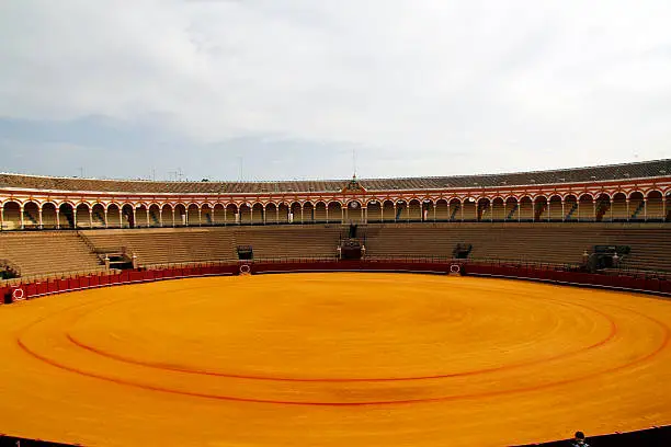 Detail of the arena of the bullring of Seville