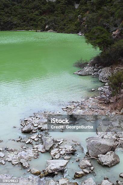 Foto de Lago Ngakoro e mais fotos de stock de Azul Turquesa - Azul Turquesa, Beleza natural - Natureza, Bosque - Floresta
