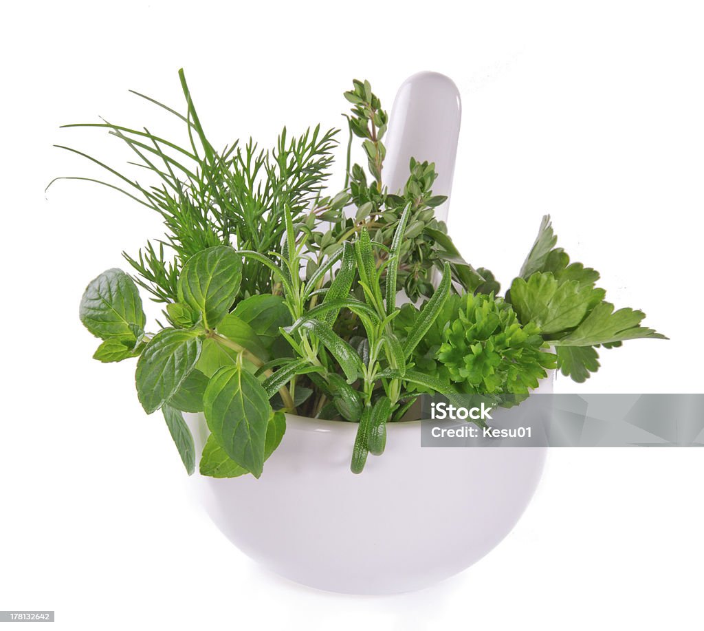 Herbs herbs Botany Stock Photo
