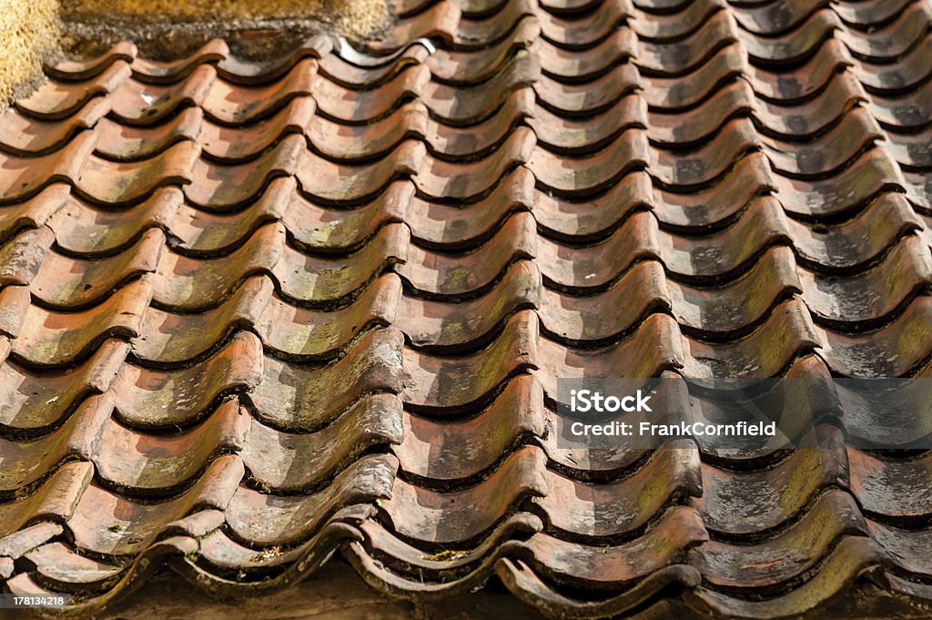Palácio Culross pantile telhado. - Royalty-free Aldeia Foto de stock