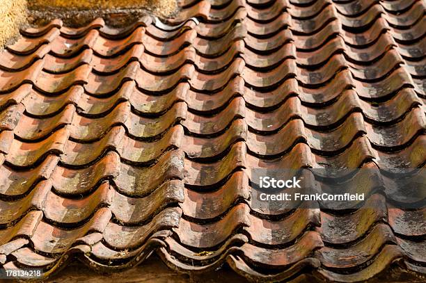 Culross Дворец Pantile Крыше — стоковые фотографии и другие картинки Архитектура - Архитектура, Без людей, Береговая линия