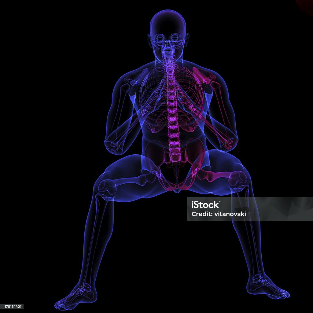 Raio-X do Corpo Humano - Royalty-free Anatomia Foto de stock