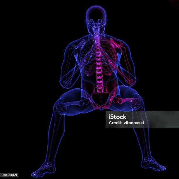 Raiox Do Corpo Humano - Fotografias de stock e mais imagens de Anatomia - Anatomia, Azul, Ciência